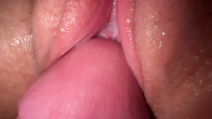 Amateur geile tiener krijgt een close-up cumshot