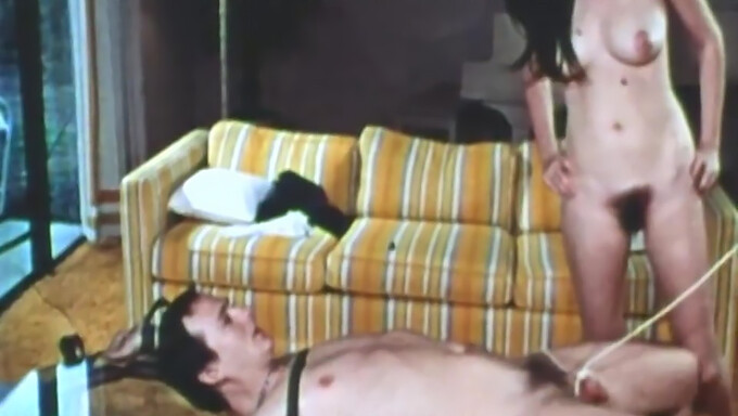 Kjærlig blowjob og vintage porno (1973)